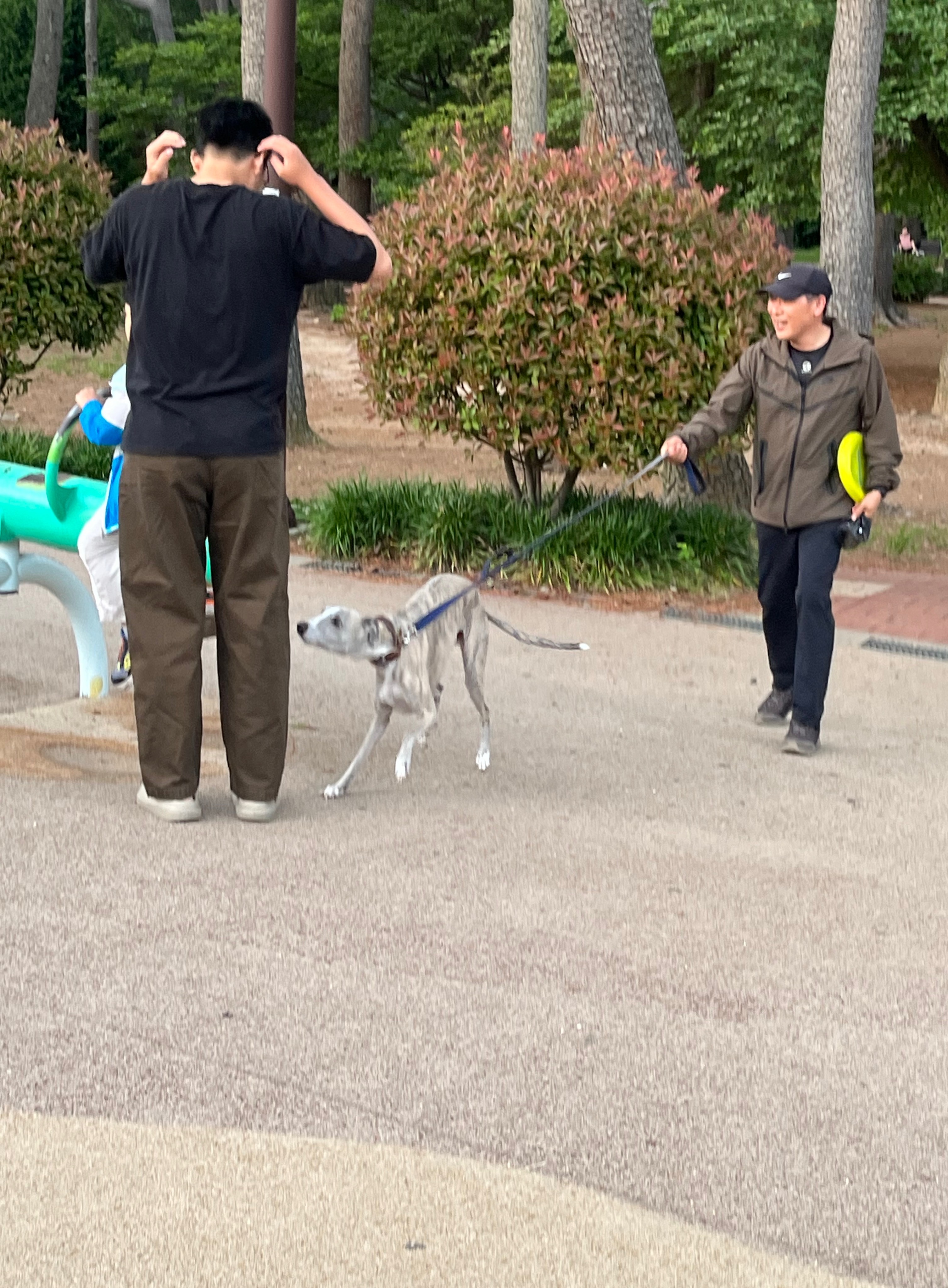 갤러리 이미지