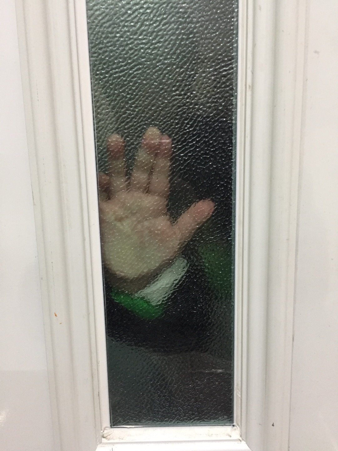갤러리 이미지