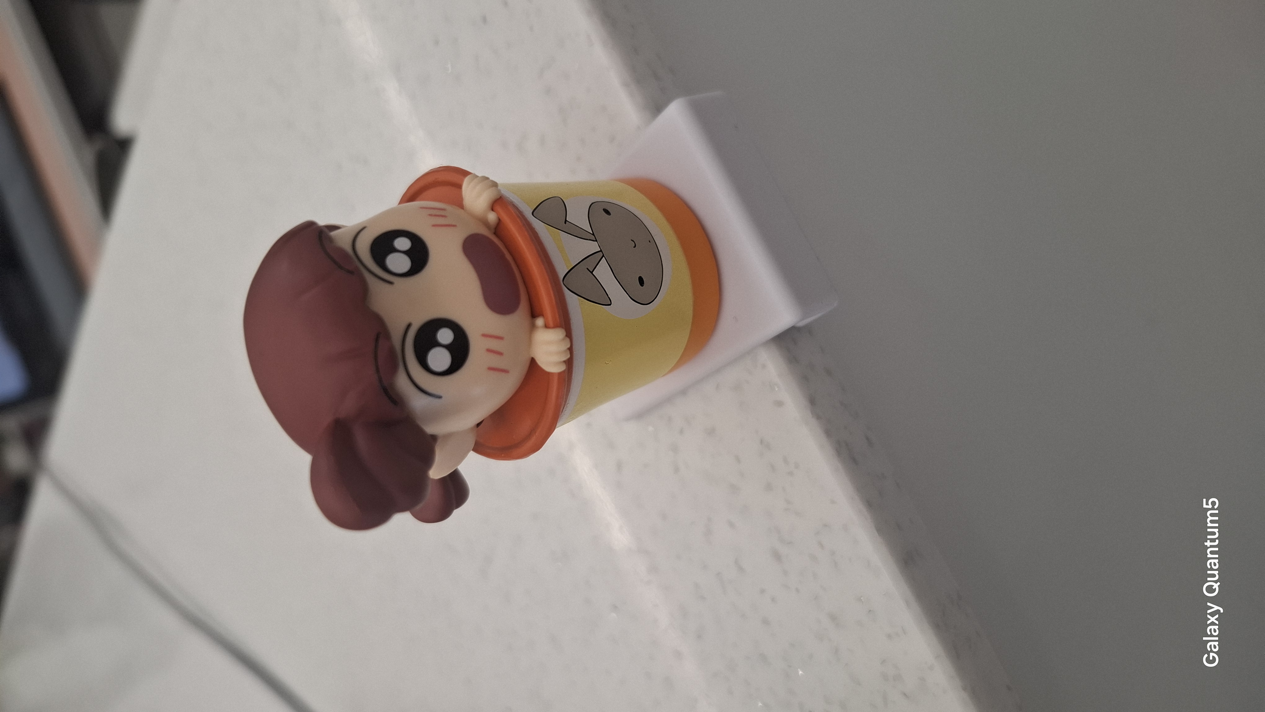 갤러리 이미지