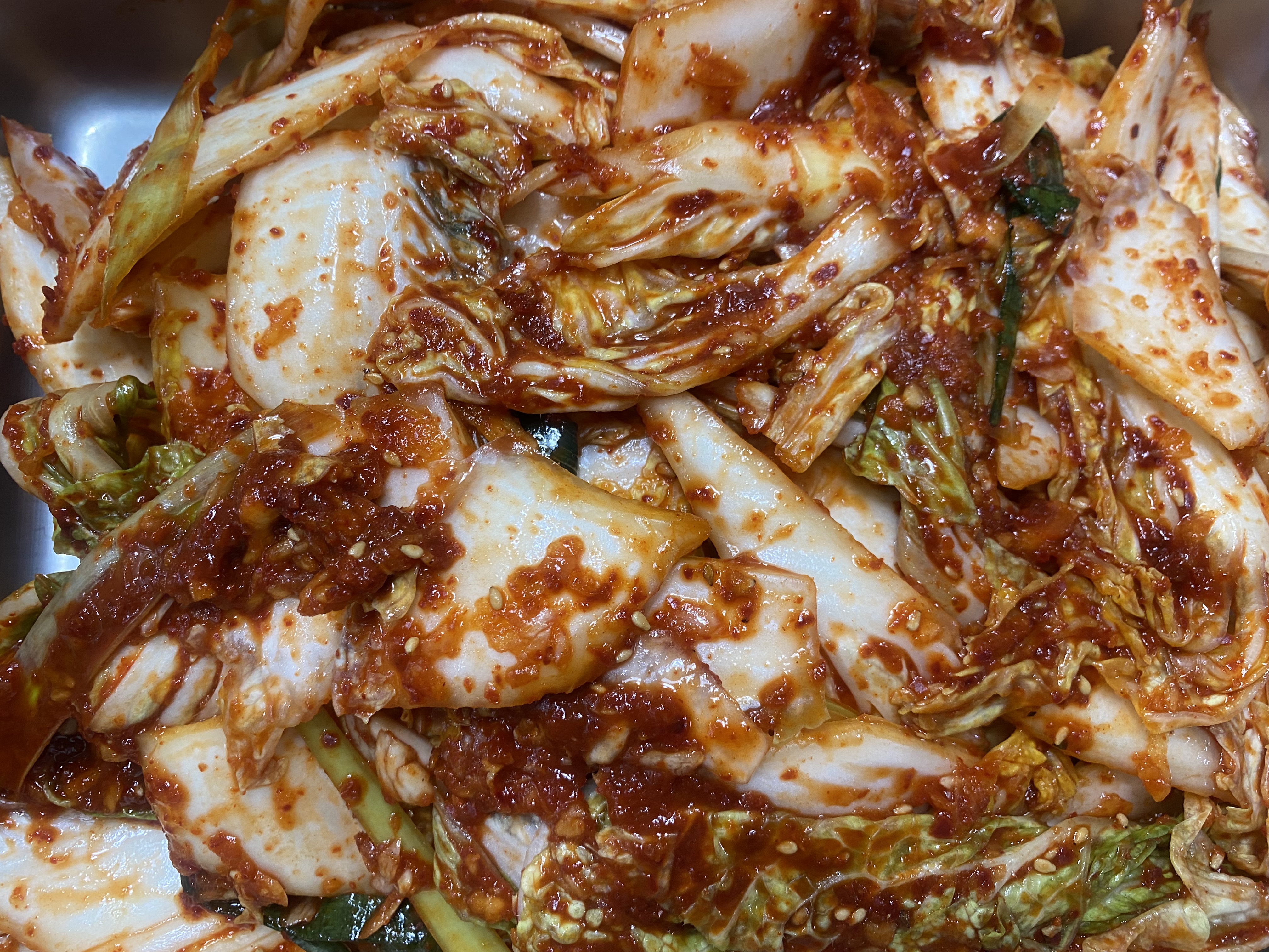 갤러리 이미지