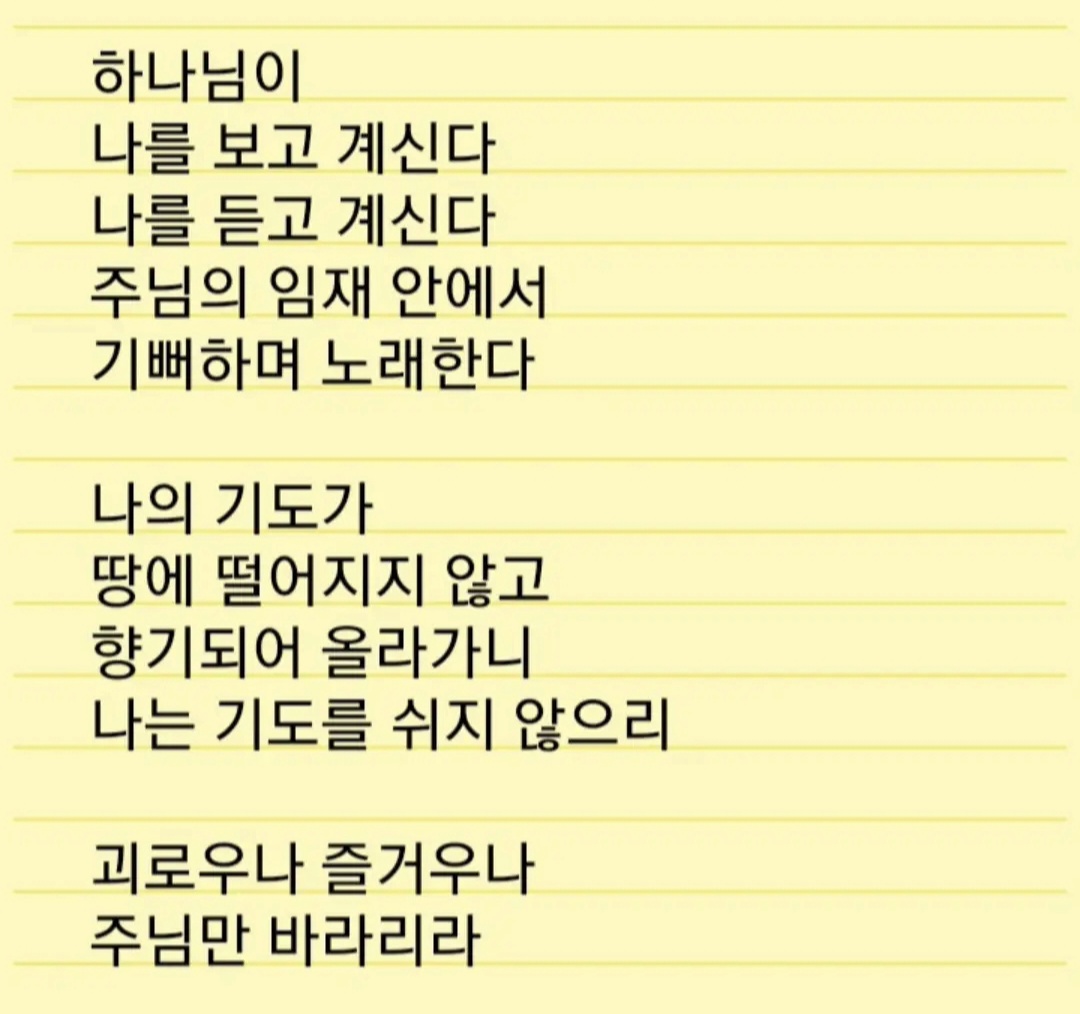 갤러리 이미지