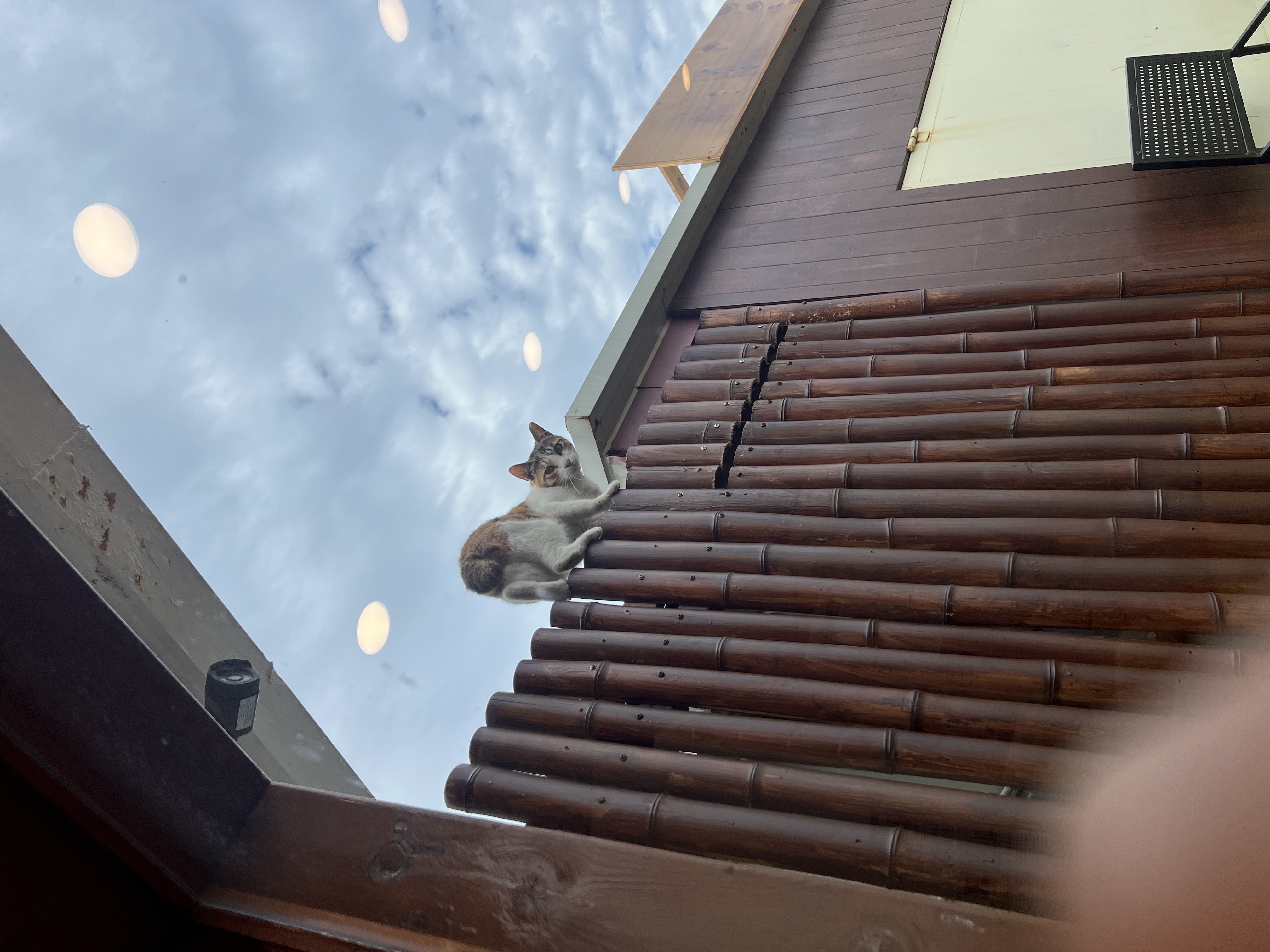 이미지9