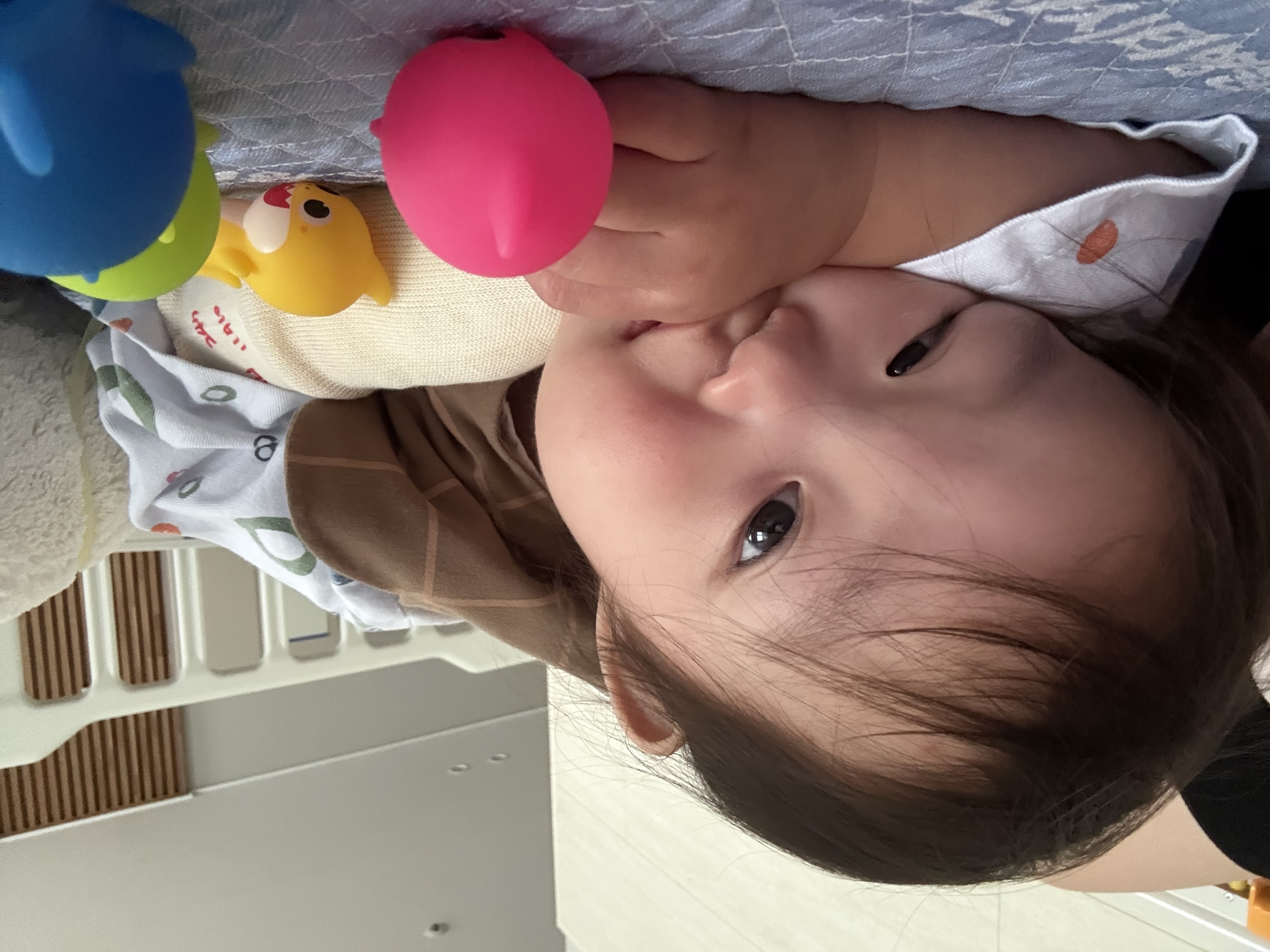 갤러리 이미지
