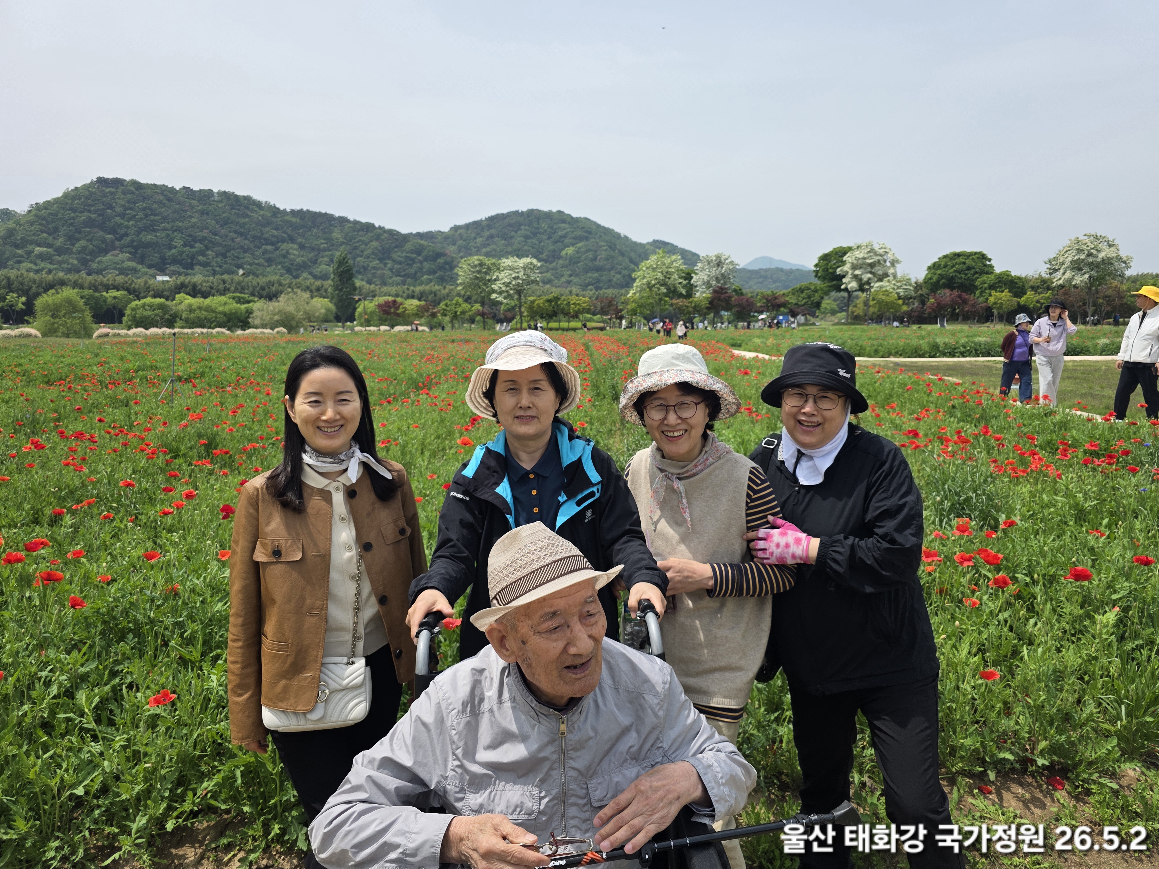 갤러리 이미지