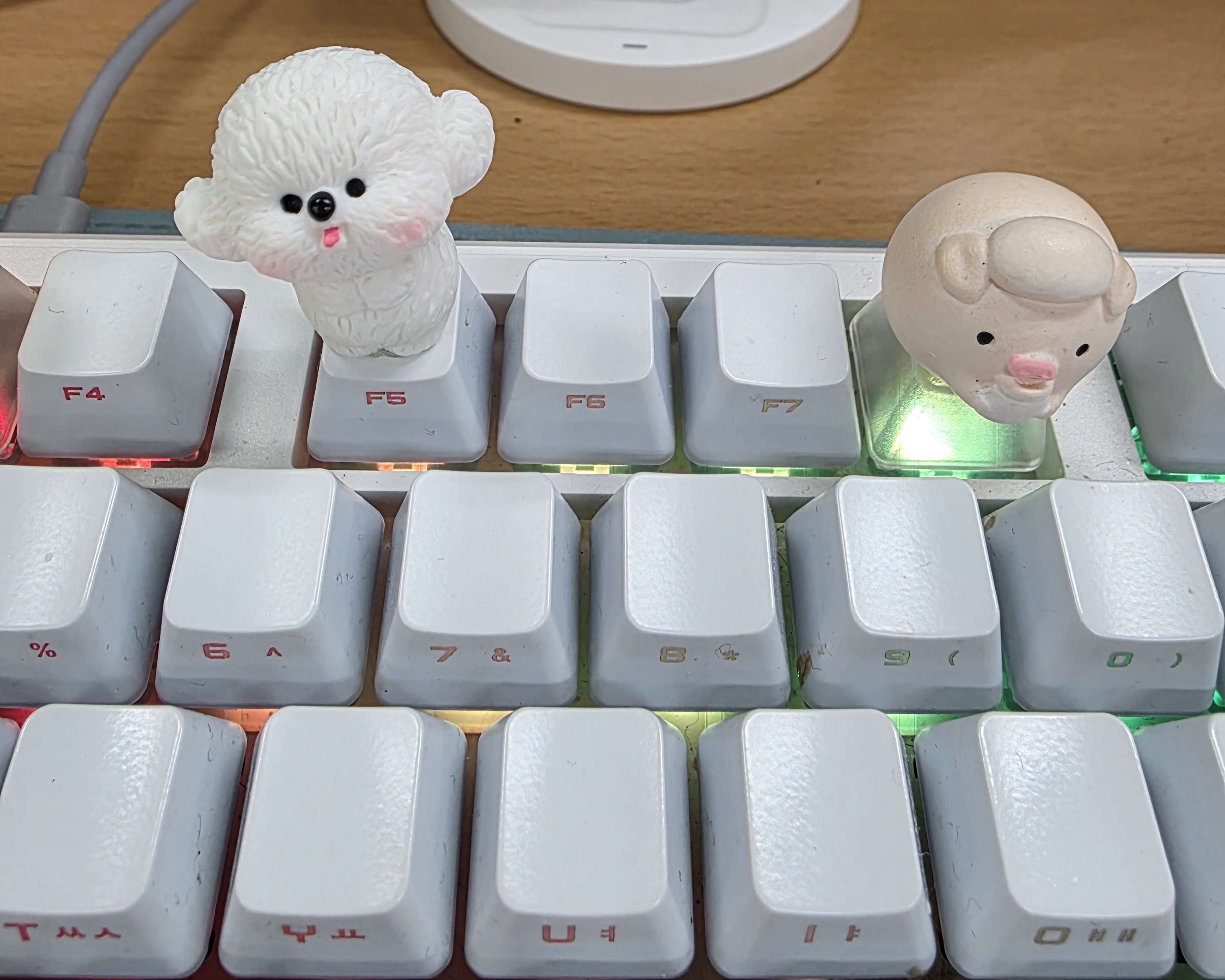 갤러리 이미지