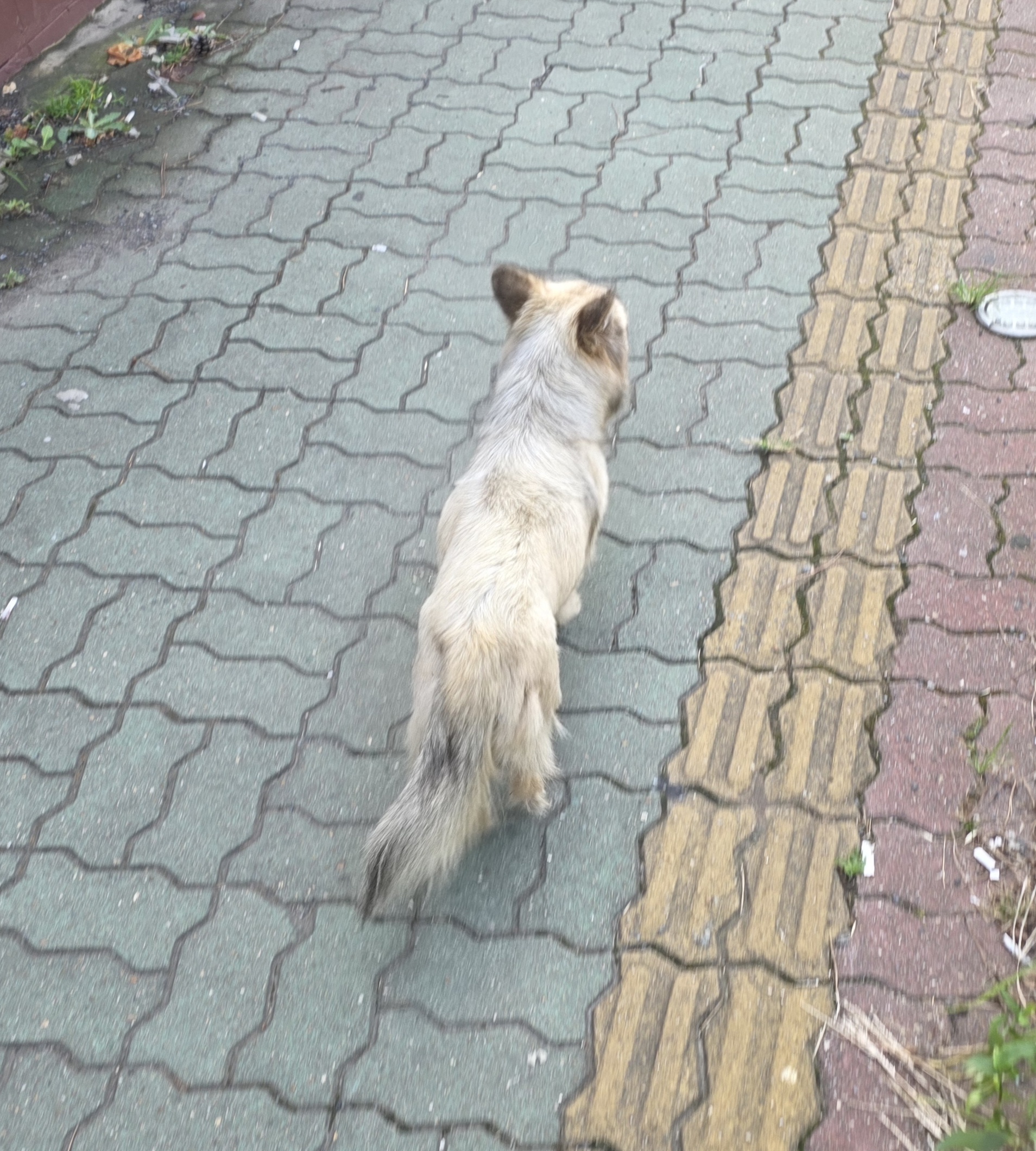 다음글