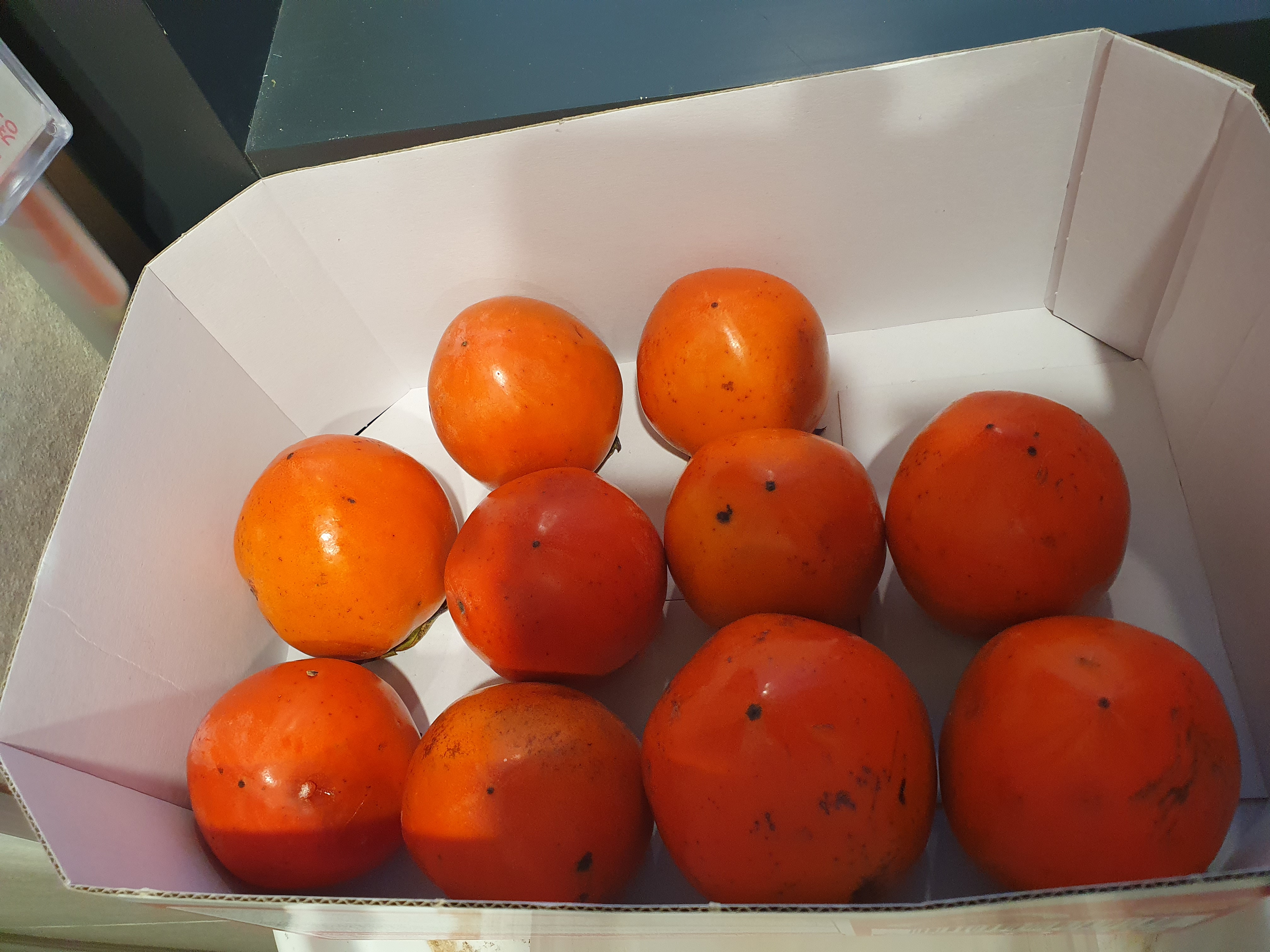 이전글